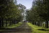 7128 Golden Highway, Merriwa, NSW 2329-Image