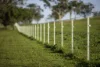 7128 Golden Highway, Merriwa, NSW 2329-Image
