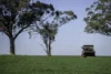 7128 Golden Highway, Merriwa, NSW 2329-Image