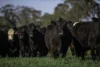 7128 Golden Highway, Merriwa, NSW 2329-Image