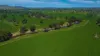 715 Illalong Road, Binalong, NSW 2584-Image