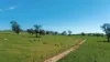715 Illalong Road, Binalong, NSW 2584-Image
