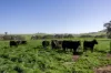 715 Illalong Road, Binalong, NSW 2584-Image
