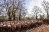 715 Illalong Road, Binalong, NSW 2584-Image