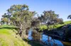 715 Illalong Road, Binalong, NSW 2584-Image