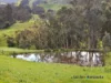 715 King Parrot Creek Road, Strath Creek, Vic 3658-Image
