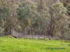 715 King Parrot Creek Road, Strath Creek, Vic 3658-Image