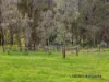 715 King Parrot Creek Road, Strath Creek, Vic 3658-Image