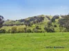 715 King Parrot Creek Road, Strath Creek, Vic 3658-Image