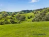 715 King Parrot Creek Road, Strath Creek, Vic 3658-Image