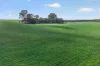 725 Nunkeri Road, Karoonda, SA 5307-Image