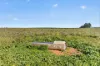 725 Nunkeri Road, Karoonda, SA 5307-Image