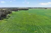 725 Nunkeri Road, Karoonda, SA 5307-Image