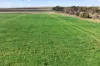 725 Nunkeri Road, Karoonda, SA 5307-Image