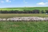 725 Nunkeri Road, Karoonda, SA 5307-Image