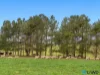726 Goulburn Road, Boro, NSW 2622-Image