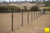 74 Dumaresq Road, Armidale NSW 2350-Image