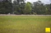 74 Dumaresq Road, Armidale NSW 2350-Image