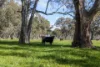 740 Long Lane, Mansfield, Vic 3722
