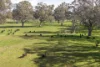 740 Long Lane, Mansfield, Vic 3722-Image