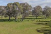 740 Long Lane, Mansfield, Vic 3722-Image