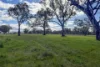 740 Long Lane, Mansfield, Vic 3722-Image