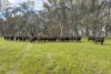 740 Long Lane, Mansfield, Vic 3722-Image