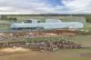 740 Vite Vite-Skipton Road, Vite Vite North, Vic 3325