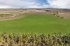 740 Vite Vite-Skipton Road, Vite Vite North, Vic 3325-Image