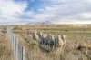 740 Vite Vite-Skipton Road, Vite Vite North, Vic 3325-Image