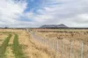 740 Vite Vite-Skipton Road, Vite Vite North, Vic 3325-Image