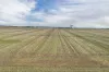 740 Vite Vite-Skipton Road, Vite Vite North, Vic 3325-Image