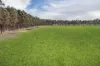 740 Vite Vite-Skipton Road, Vite Vite North, Vic 3325-Image