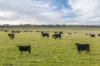 740 Vite Vite-Skipton Road, Vite Vite North, Vic 3325-Image
