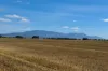 740 Vite Vite-Skipton Road, Vite Vite North, Vic 3325-Image