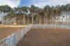 740 Vite Vite-Skipton Road, Vite Vite North, Vic 3325-Image