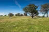 7440 Hume Highway, Jugiong, NSW 2726-Image