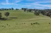 7440 Hume Highway, Jugiong, NSW 2726-Image