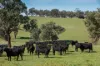 7440 Hume Highway, Jugiong, NSW 2726-Image