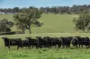 7440 Hume Highway, Jugiong, NSW 2726-Image