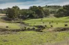 7440 Hume Highway, Jugiong, NSW 2726-Image