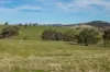 7440 Hume Highway, Jugiong, NSW 2726-Image