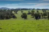 7440 Hume Highway, Jugiong, NSW 2726-Image
