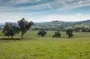 7440 Hume Highway, Jugiong, NSW 2726-Image
