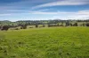 7440 Hume Highway, Jugiong, NSW 2726-Image