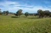 7440 Hume Highway, Jugiong, NSW 2726-Image