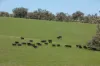 7440 Hume Highway, Jugiong, NSW 2726-Image