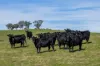 7440 Hume Highway, Jugiong, NSW 2726-Image