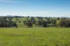7440 Hume Highway, Jugiong, NSW 2726-Image