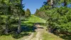 75 Waltons Road, Buckley, Vic 3240-Image